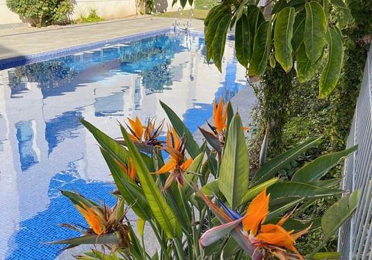 Bungalow in Torrevieja