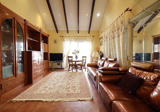 Villa in Playa Flamenca