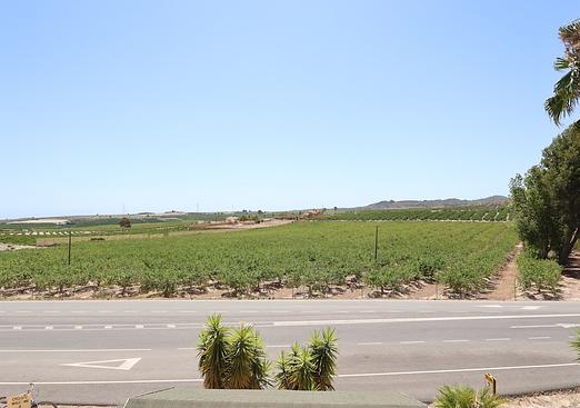 Commercial in San Miguel de Salinas