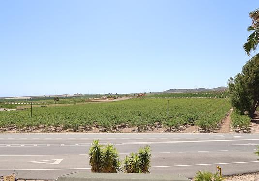 Commercial in San Miguel de Salinas