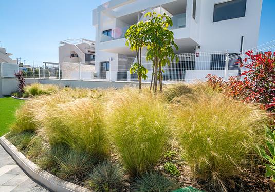 Apartment in Torrevieja