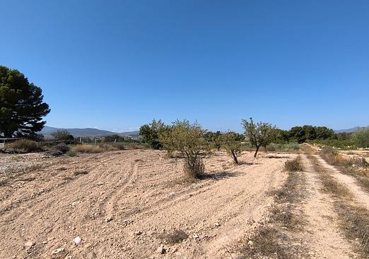 Land in Monóvar/Monóver