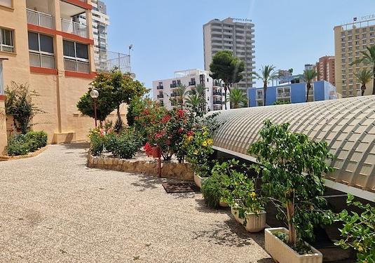 Apartment in Benidorm