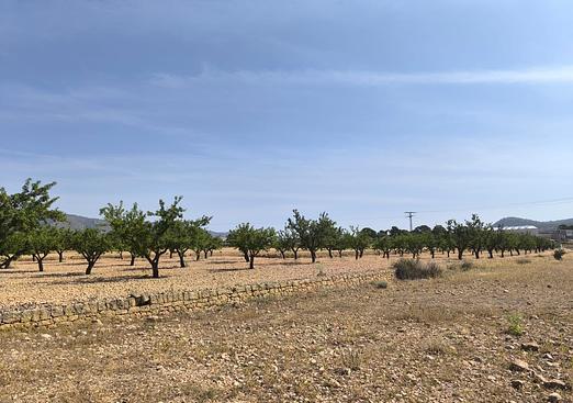 Land in Monóvar/Monóver