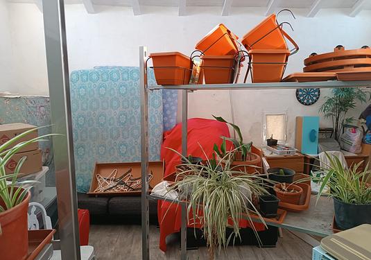 Country house in Yecla