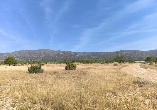 Land in Monóvar/Monóver