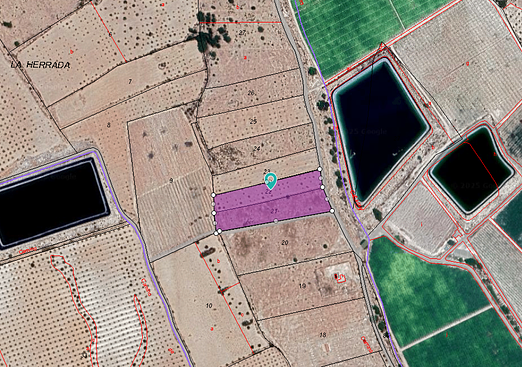 Land in Monóvar/Monóver