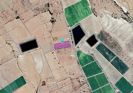 Land in Monóvar/Monóver