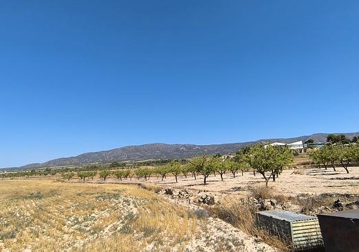 Land in Monóvar/Monóver