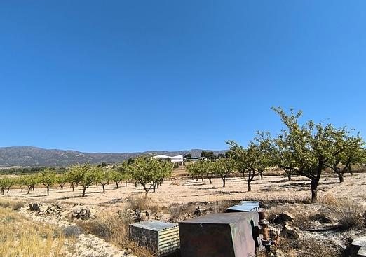 Land in Monóvar/Monóver