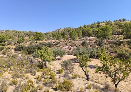 Land in Monóvar/Monóver