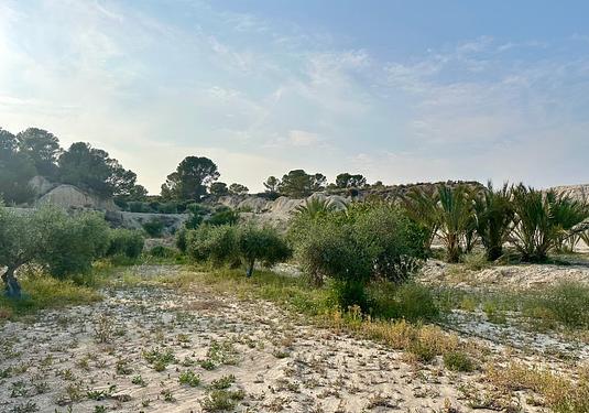 Country house in Abanilla
