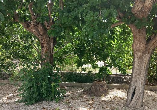 Country house in Redovan