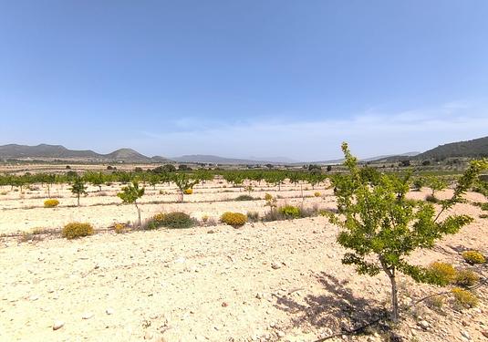 Land in Monóvar/Monóver