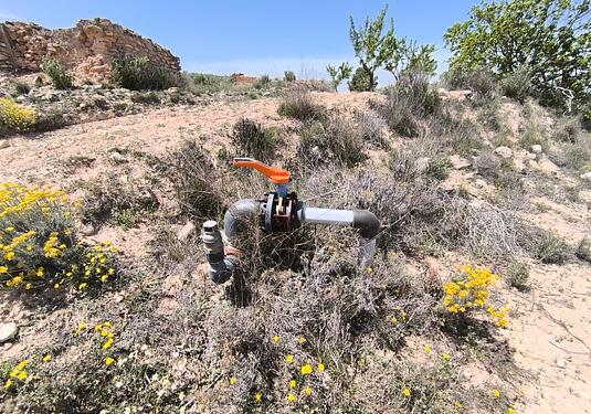 Land in Monóvar/Monóver