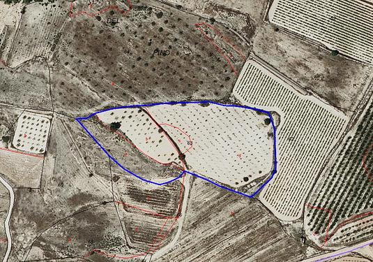 Land in Monóvar/Monóver