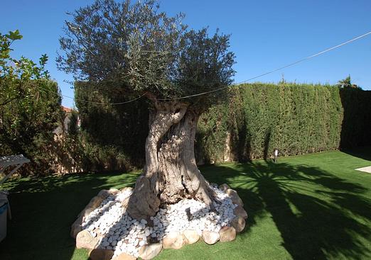 Villa in Ciudad Quesada