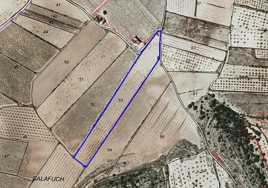 Land in Monóvar/Monóver