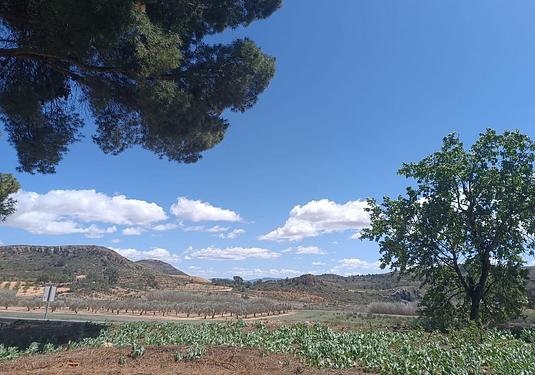 Country house in Yecla