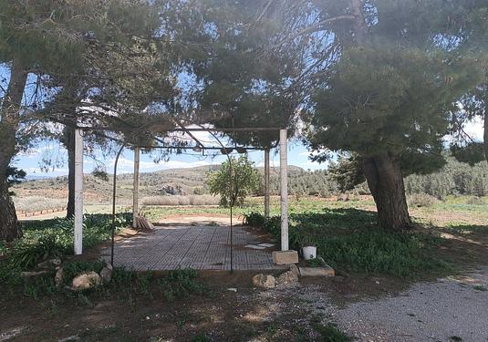 Country house in Yecla