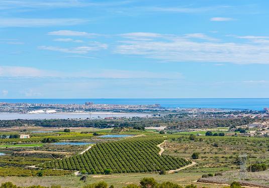 Apartment penthouse in San Miguel de Salinas