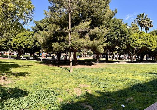 Apartment in Torrevieja