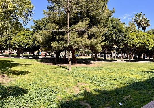 Apartment in Torrevieja