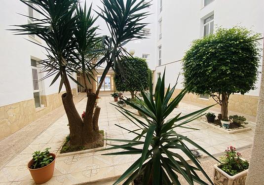 Apartment in Torrevieja