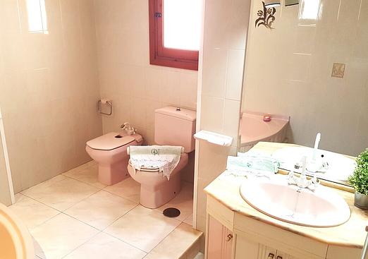 Penthouse penthouse in Torrevieja