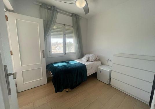 Villa in Playa Flamenca