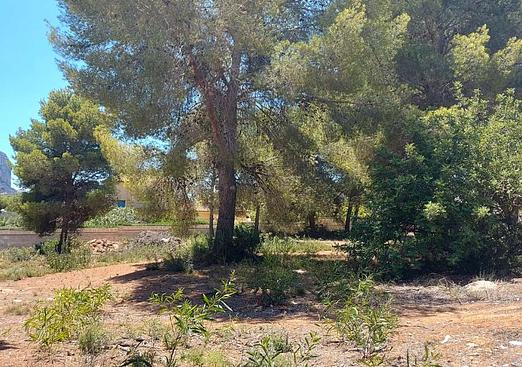 Land in Calpe