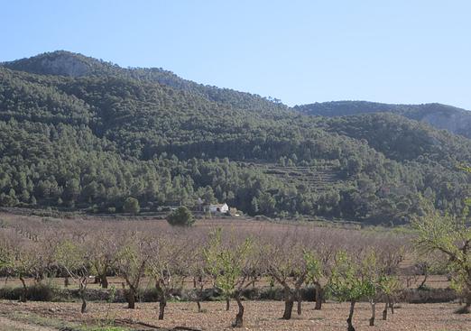 Land in Villena
