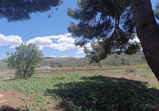 Country house in Yecla