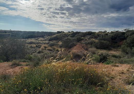 Villa in Gran Alacant