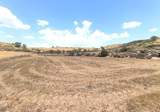 Country house in Yecla