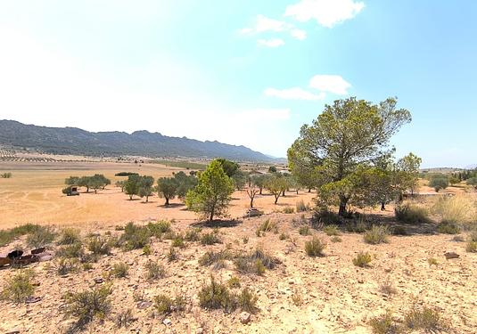 Country house in Yecla