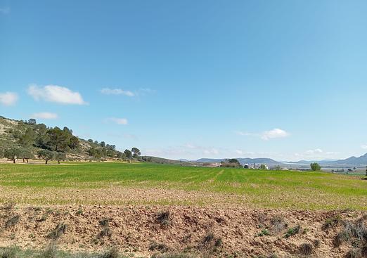 Country house in Yecla