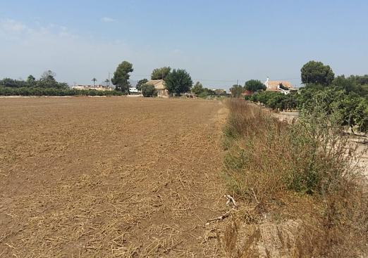 Country house in Daya Nueva