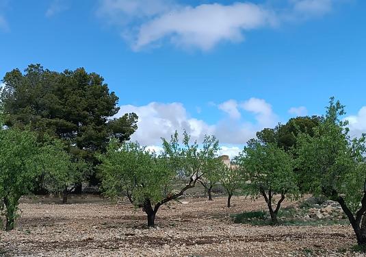 Country house in Yecla