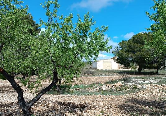 Country house in Yecla