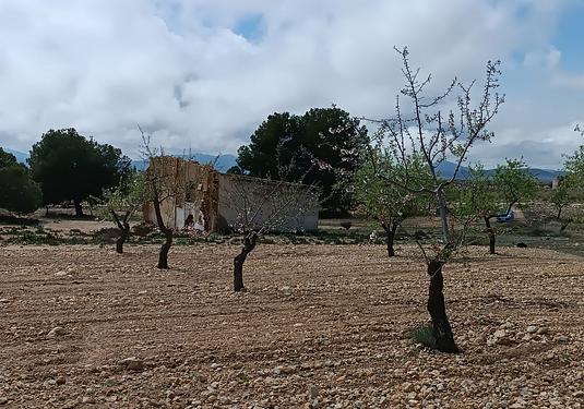 Country house in Yecla