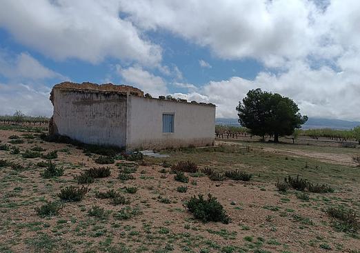 Country house in Yecla