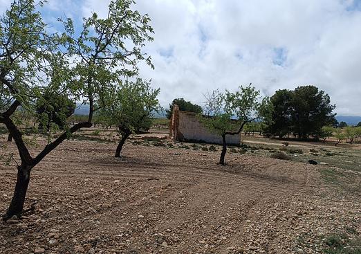 Country house in Yecla