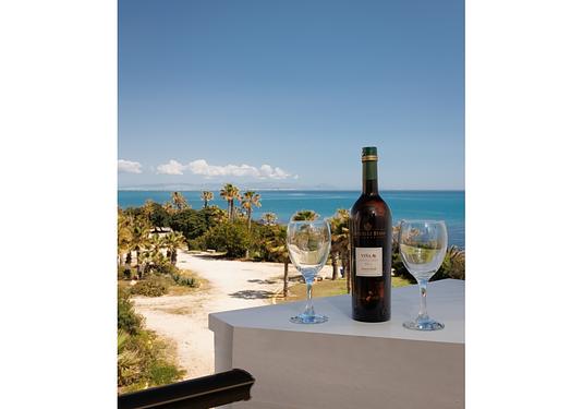 Apartment in La Mata