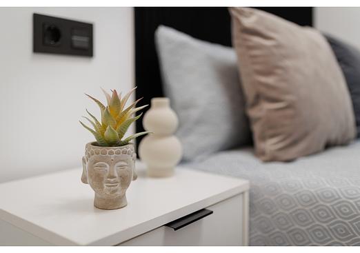 Apartment in La Mata