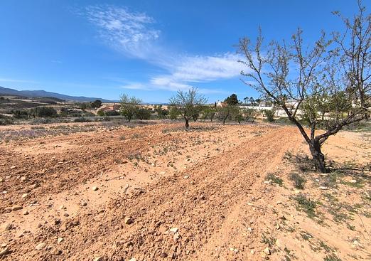 Land in Jumilla