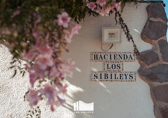 Country house in Lorca