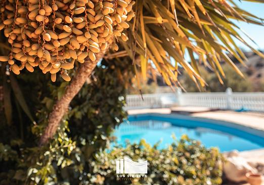 Country house in Lorca