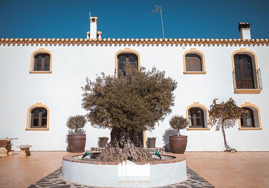 Country house in Lorca