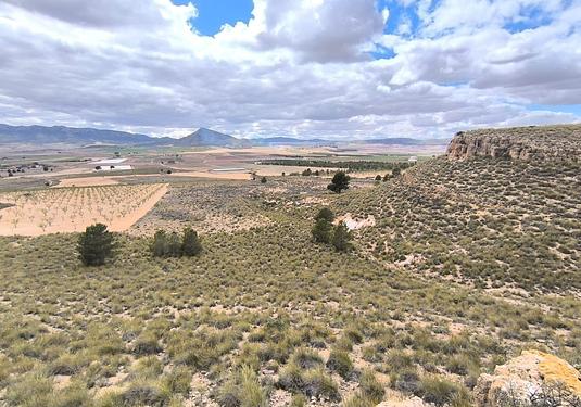 Land in Yecla